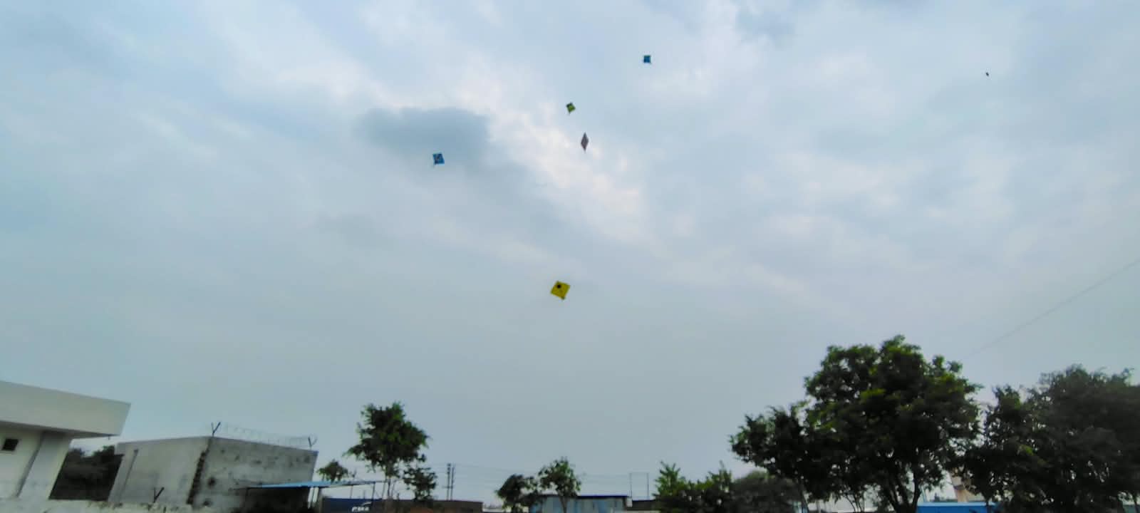 Kite Festival